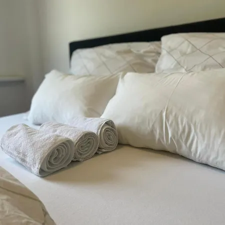 Linz Central Apartment 酒店 *