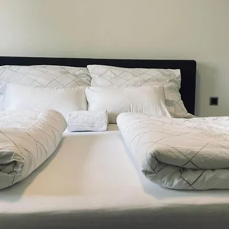 ホテル Linz Central Apartment