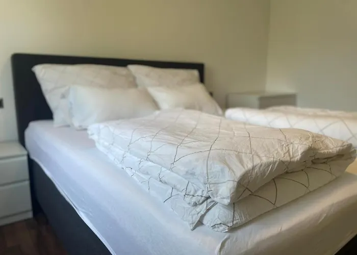 Linz Central Apartment فندق *