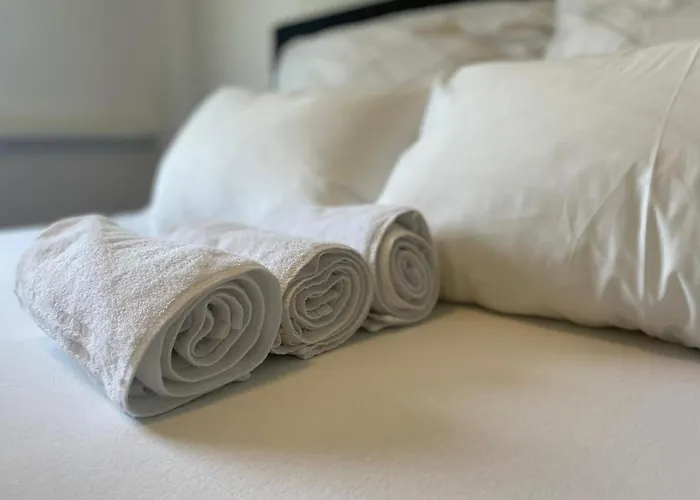 Linz Central Apartment فندق *